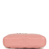 Chanel Flower Top Handle Long Vanity Case with Chain Pink Lambskin Light Gold Hardware