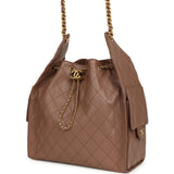 Chanel Medium 25 Hobo Bag Brown Caviar Antique Gold Hardware