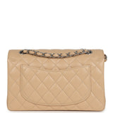 Chanel Small Classic Double Flap Bag Beige Caviar Silver Hardware