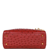 Pre-owned Christian Dior Mini Lady Bag Burgundy Ostrich Gold Hardware