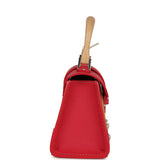 Goyard Goyardine Canvas Fuchsia Saigon Structure Nano Palladium Hardware