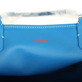 Goyard Anjou PM Sky Blue Goyardine Canvas Palladium Hardware