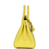Hermes Special Order (HSS) Birkin 25 Lime Verso Clemence Permabrass Hardware