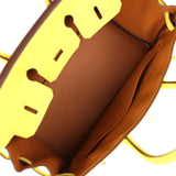 Hermes Special Order (HSS) Birkin 25 Lime Verso Clemence Permabrass Hardware