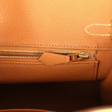 Hermes Special Order (HSS) Birkin 25 Lime Verso Clemence Permabrass Hardware