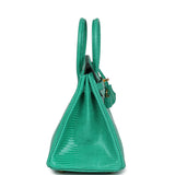 Hermes Birkin 25 Menthe Varanus Niloticus Lizard Gold Hardware