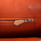 Vintage Hermes Birkin 30 Orange Dalmatian Buffalo Palladium Hardware