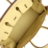 Hermes Birkin 25 Jaune Poussin Togo Palladium Hardware