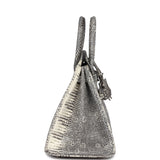 Hermes Birkin 25 Ombre Varanus Salvator Lizard Palladium Hardware