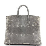 Hermes Birkin 25 Ombre Varanus Salvator Lizard Palladium Hardware