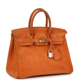 Vintage Hermes Birkin 25 Orange Doblis Gold Hardware