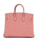 Hermes Birkin 25 Terre Cuite Ostrich Gold Hardware