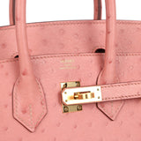 Hermes Birkin 25 Terre Cuite Ostrich Gold Hardware
