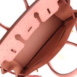 Hermes Birkin 25 Terre Cuite Ostrich Gold Hardware