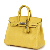 Hermes Birkin 25 Mimosa Matte Alligator Palladium Hardware