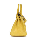 Hermes Birkin 25 Mimosa Matte Alligator Palladium Hardware