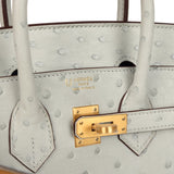 Hermes Special Order (HSS) Birkin 25 Gris Perle Verso Ostrich Brushed Gold Hardware