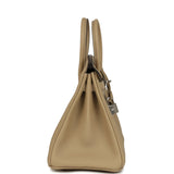 Hermes Birkin 25 Trench Togo Palladium Hardware