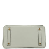 Hermes Birkin 25 Gris Neve Togo Gold Hardware