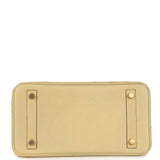 Hermes Birkin 25 Trench Ostrich Gold Hardware