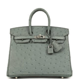 Hermes Birkin 25 Vert Amande Ostrich Palladium Hardware