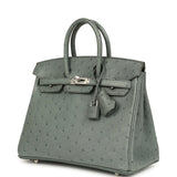 Hermes Birkin 25 Vert Amande Ostrich Palladium Hardware