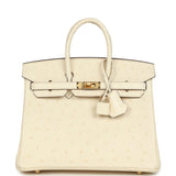 Hermes Birkin 25 Nata Ostrich Gold Hardware