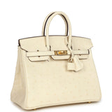 Hermes Birkin 25 Nata Ostrich Gold Hardware