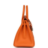 Hermes Birkin 25 Orange Minium Togo Palladium Hardware