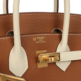Hermes Special Order (HSS) Birkin 25 Gold and Craie Togo Gold Hardware