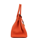 Hermes Birkin 30 Feu Togo Gold Hardware