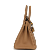 Hermes Birkin 25 Chai Togo Gold Hardware