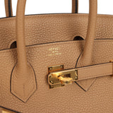 Hermes Birkin 25 Chai Togo Gold Hardware