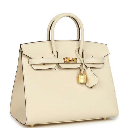 Hermes Birkin Sellier 25 Nata Epsom Gold Hardware