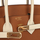 Hermes Special Order (HSS) Birkin 25 Gold and Craie Togo Rose Gold Hardware