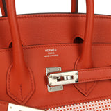 Pre-owned Hermes Quadrille Birkin 25 Brique Swift and Ecru-Mauve Pale and Brique Toile H Palladium Hardware