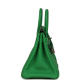 Hermes Birkin 25 Bambou Verso Togo Palladium Hardware