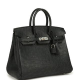Hermes Birkin 25 Black Ostrich Palladium Hardware